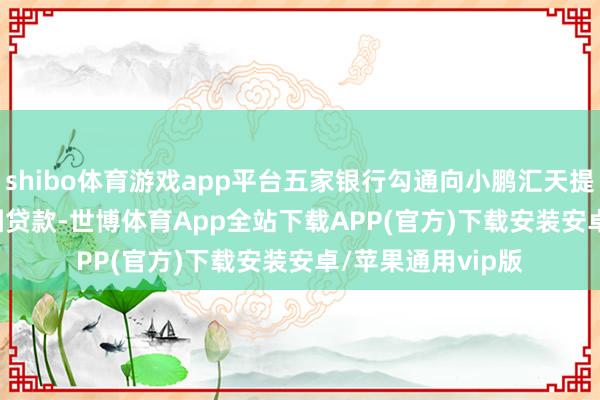 shibo体育游戏app平台五家银行勾通向小鹏汇天提供 12.6 亿元银团贷款-世博体育App全站下载APP(官方)下载安装安卓/苹果通用vip版