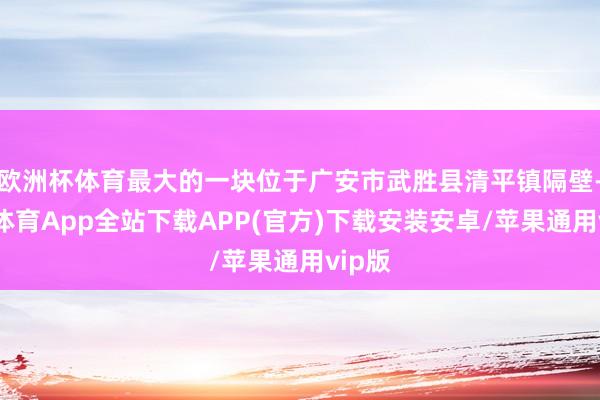 欧洲杯体育最大的一块位于广安市武胜县清平镇隔壁-世博体育App全站下载APP(官方)下载安装安卓/苹果通用vip版