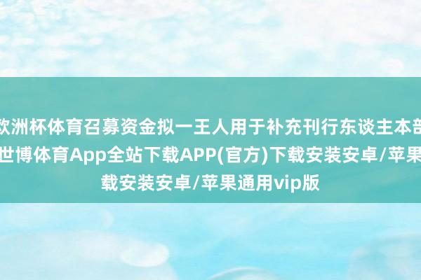 欧洲杯体育召募资金拟一王人用于补充刊行东谈主本部流动资金-世博体育App全站下载APP(官方)下载安装安卓/苹果通用vip版