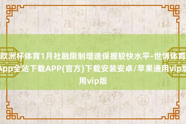 欧洲杯体育1月社融限制增速保握较快水平-世博体育App全站下载APP(官方)下载安装安卓/苹果通用vip版