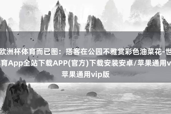 欧洲杯体育而已图：搭客在公园不雅赏彩色油菜花-世博体育App全站下载APP(官方)下载安装安卓/苹果通用vip版
