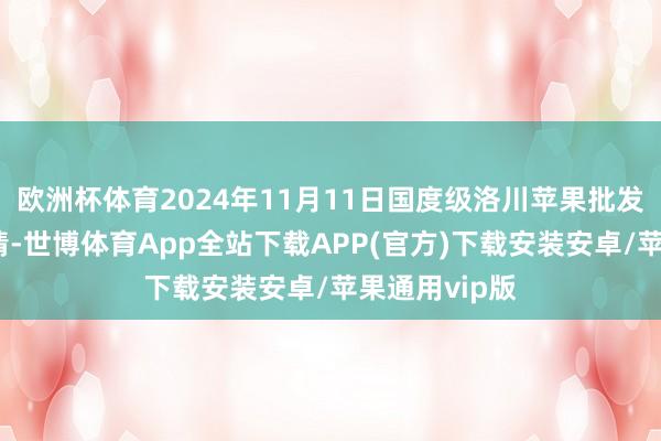 欧洲杯体育2024年11月11日国度级洛川苹果批发市集价钱行情-世博体育App全站下载APP(官方)下载安装安卓/苹果通用vip版