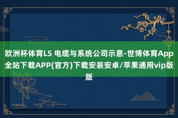 欧洲杯体育LS 电缆与系统公司示意-世博体育App全站下载APP(官方)下载安装安卓/苹果通用vip版