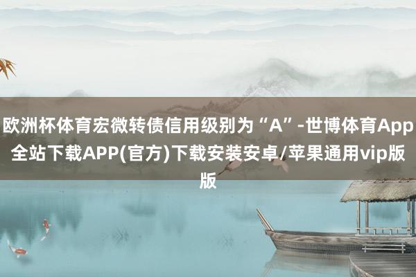 欧洲杯体育宏微转债信用级别为“A”-世博体育App全站下载APP(官方)下载安装安卓/苹果通用vip版
